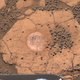 A true-color image of a rock dubbed the “Berry Bowl” on Mars.
